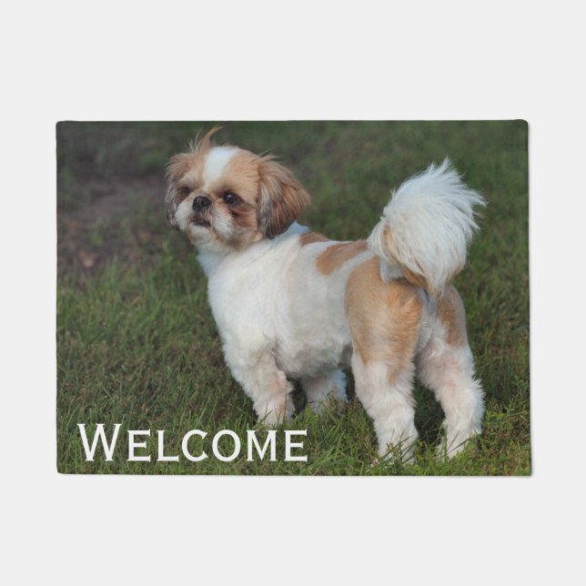 Niedlicher Shih Tzu Fußmatte (Vorderseite)