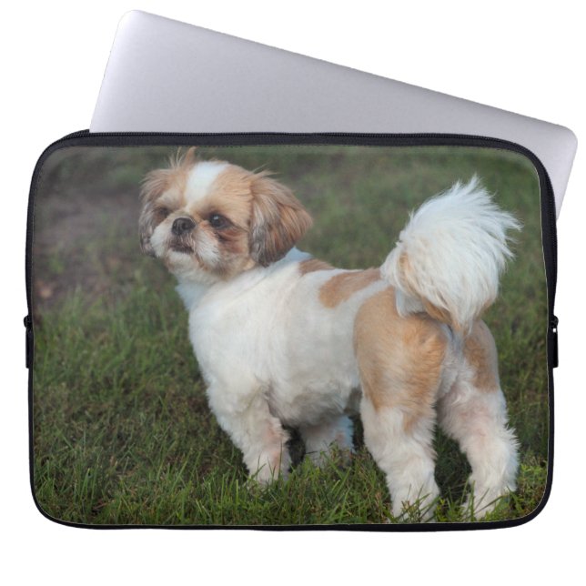 Niedlicher Shih tzu Laptopschutzhülle (Vorderseite)
