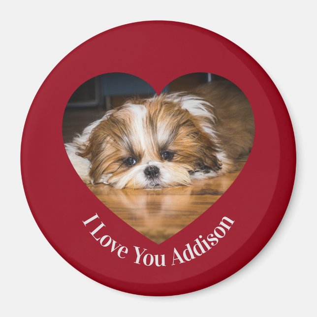 Niedlicher shih tzu Liebe Valentinherz Foto Magnet (Vorne)