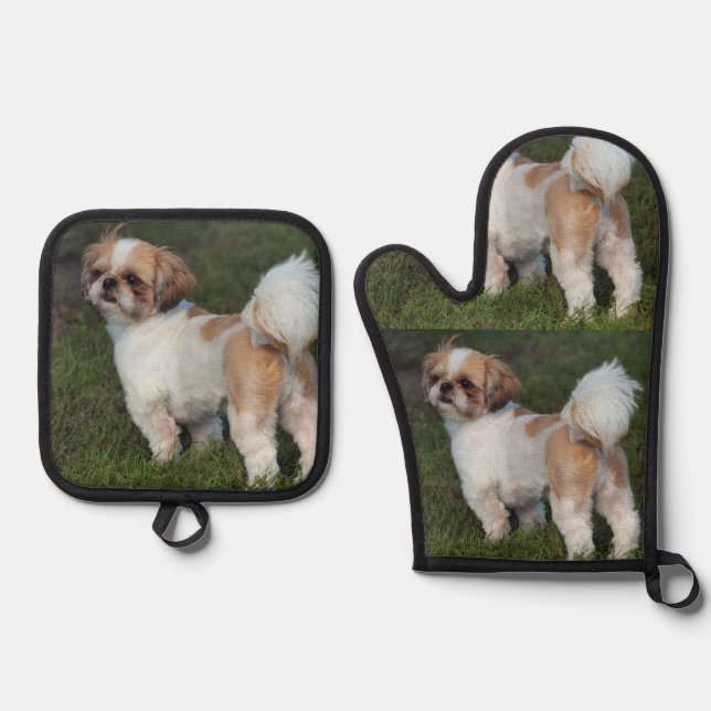 Niedlicher Shih Tzu Ofenhandschuh & Topflappen-Set (Vorderseite)