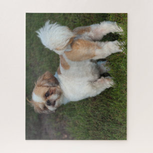 Niedlicher Shih-Tzu Puzzle
