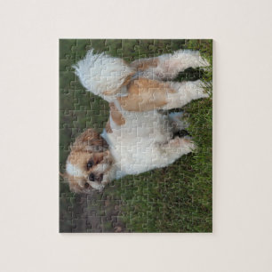 Niedlicher Shih Tzu Puzzle