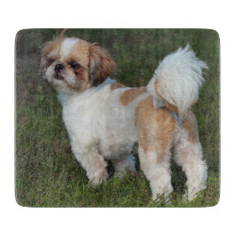Niedlicher Shih Tzu Schneidebrett