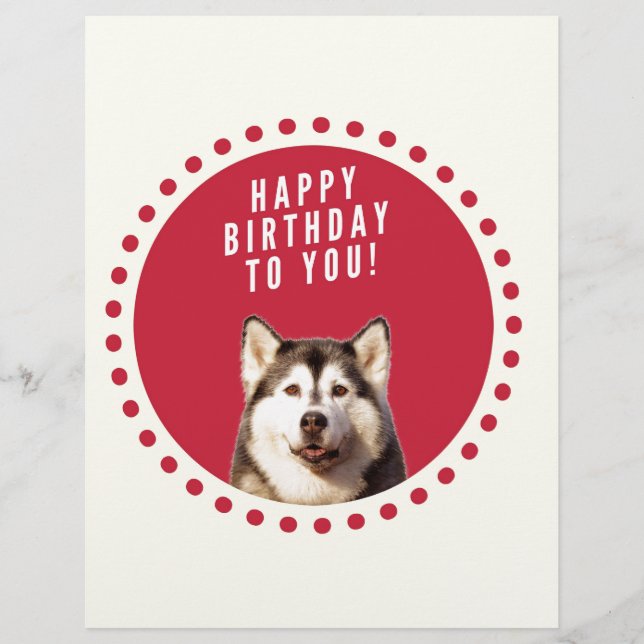 Niedlicher sibirischer Husky Hund Happy Birthday Briefkopf (Vorderseite)