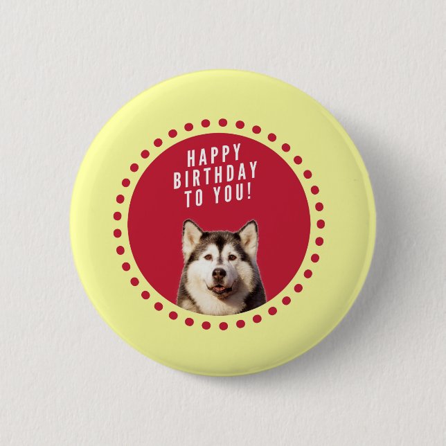 Niedlicher sibirischer Husky Hund Happy Birthday Button (Vorderseite)
