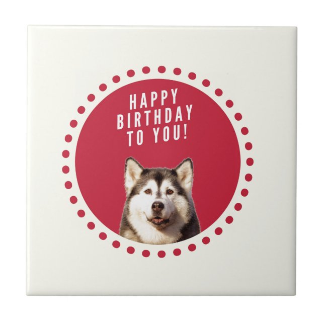 Niedlicher sibirischer Husky Hund Happy Birthday Fliese (Vorderseite)