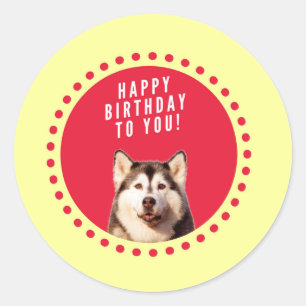 Niedlicher sibirischer Husky Hund Happy Birthday Runder Aufkleber