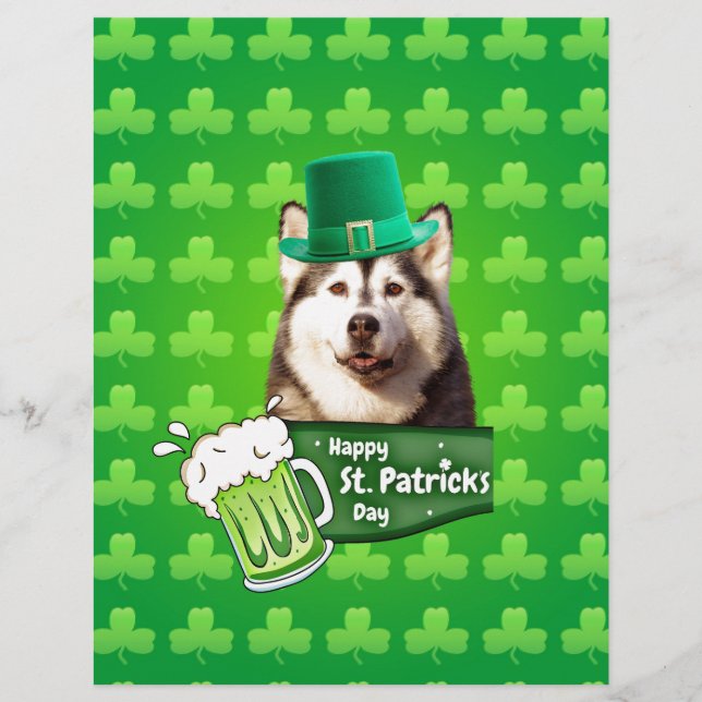Niedlicher sibirischer Husky-Hund Hund St. Patrick (Vorderseite)