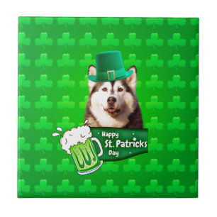 Niedlicher sibirischer Husky-Hund Hund St. Patrick Fliese