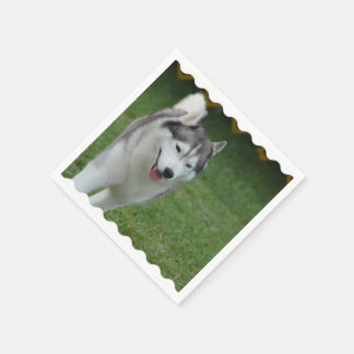 Niedlicher sibirischer Husky Serviette