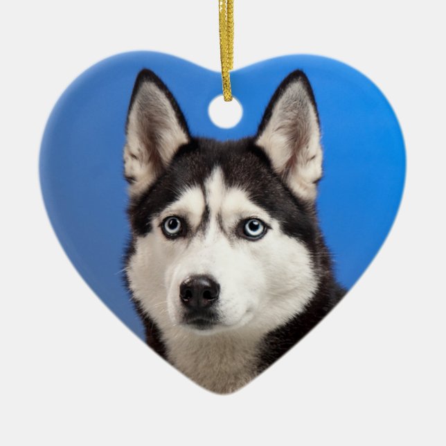 Niedlicher sibirischer Husky-Welpenhund Keramik Ornament (Vorne)
