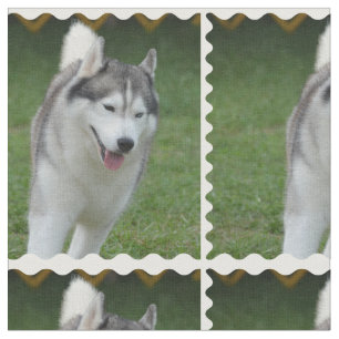 Niedlicher sibirischer Schlittenhund Stoff