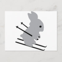 niedlicher Skispass