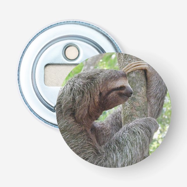 Niedlicher Sloth Flaschenöffner (Vorderseite)