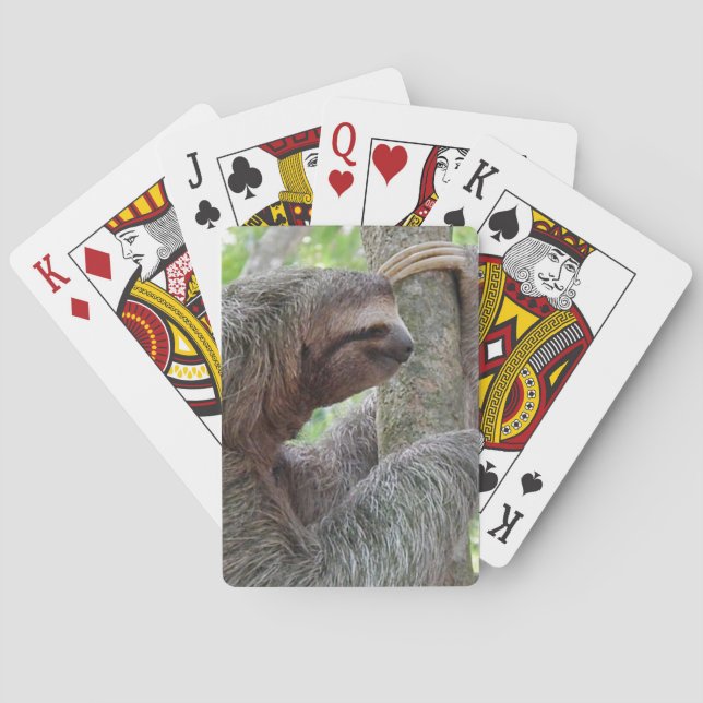 Niedlicher Sloth Spielkarten (Rückseite)