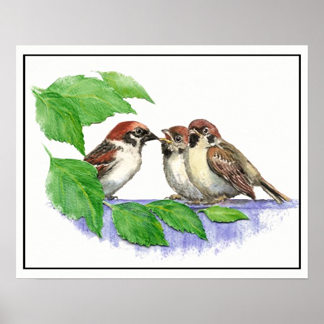 Niedlicher Song Sparrow, Bird, Garden, Tierart Poster (Vorne)