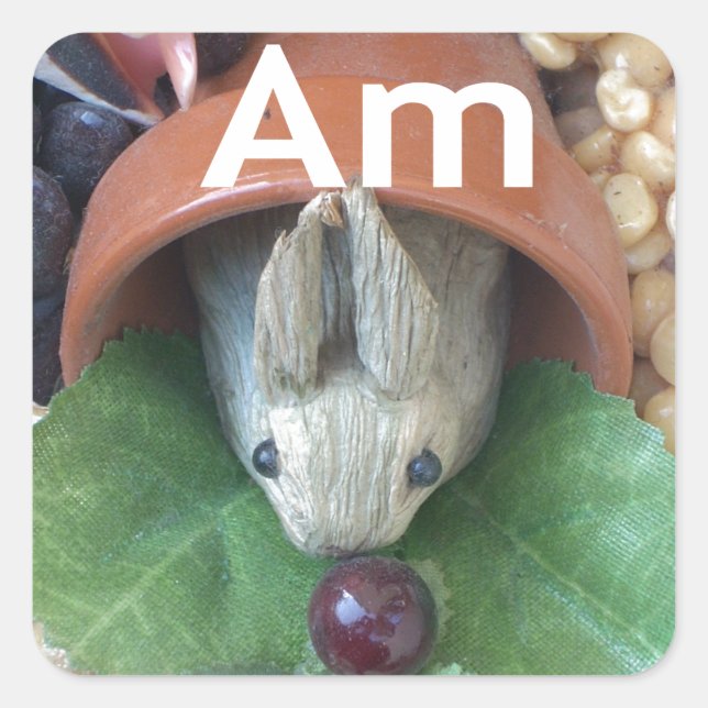 Niedlicher Sonnendach Quadratischer Aufkleber (Vorderseite)