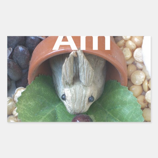 Niedlicher Sonnendach Rechteckiger Aufkleber (Vorderseite)