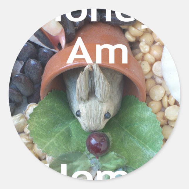 Niedlicher Sonnendach Runder Aufkleber (Vorderseite)