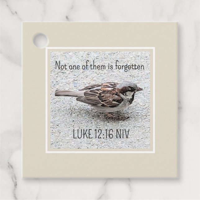 Niedlicher Sparrow Bird Foto Bibel Verse Simple Ta Geschenkanhänger (Vorderseite)