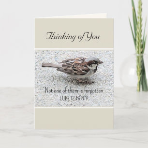 Niedlicher Sparrow Bird Foto Bibel Verse Simple Ta Karte