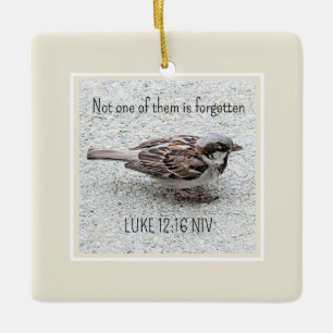 Niedlicher Sparrow Bird Foto Bibel Verse Simple Ta Keramikornament