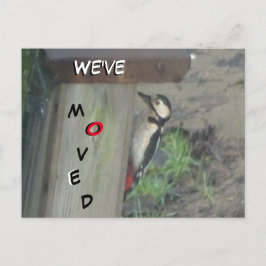 Niedlicher Specker in der Nestbox Wir haben die Po Postkarte