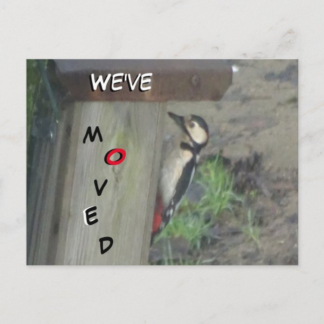 Niedlicher Specker in der Nestbox Wir haben die Po Postkarte (Vorderseite)