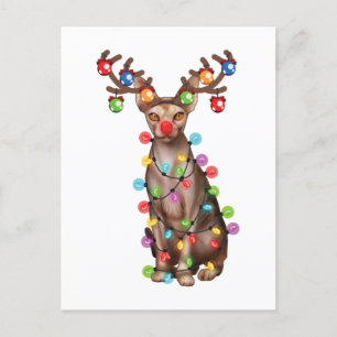 Niedlicher Sphynx Cat Lover Weihnachten Weihnachte Postkarte