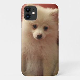Niedlicher Spitz Case-Mate iPhone Hülle