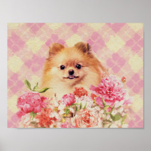 Niedlicher Spitz Deutscher Spitz mit Blume Poster