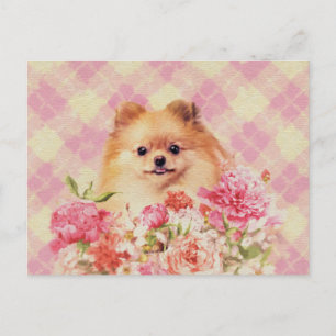 Niedlicher Spitz Deutscher Spitz mit Blume Postkarte