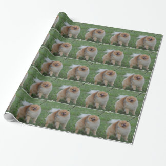 Niedlicher Spitz Geschenkpapier