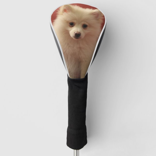 Niedlicher Spitz Golf Headcover (Vorderseite)