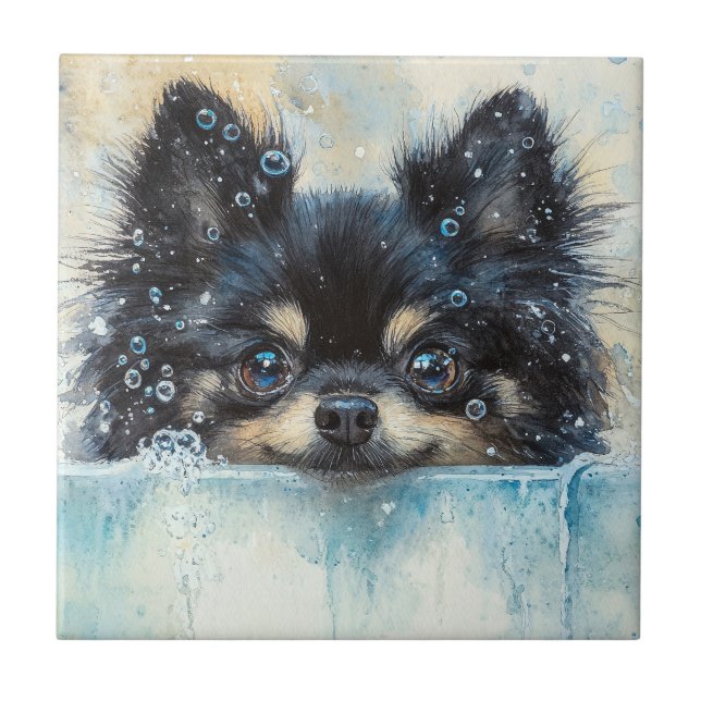 Niedlicher Spitz Hund in der Badewanne Fliese (Vorderseite)