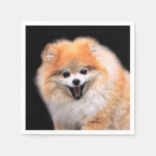 Niedlicher Spitz Hund Serviette