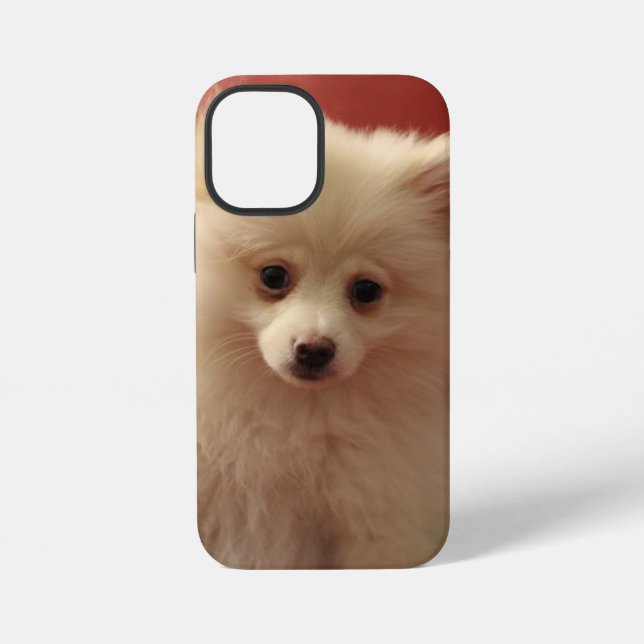 Niedlicher Spitz iPhone Hülle (Rückseite)