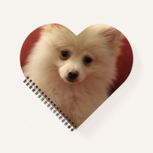Niedlicher Spitz Notizbuch