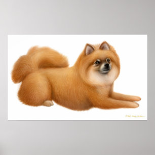 Niedlicher Spitz Puppy Print Poster