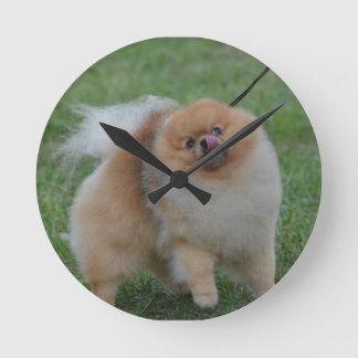 Niedlicher Spitz Runde Wanduhr