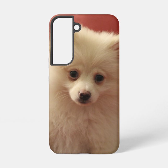 Niedlicher Spitz Samsung Galaxy Hülle (Rückseite)