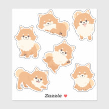 Niedlicher Spitz Welpen