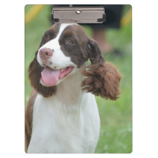 Niedlicher SpringerSpaniel Klemmbrett