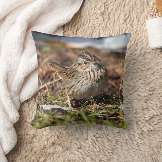 Niedlicher Spunky Lincolns Sparrow Songbird im Gra Kissen (Decke)