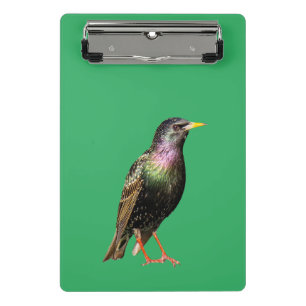 Niedlicher Starling Mini Klemmbrett