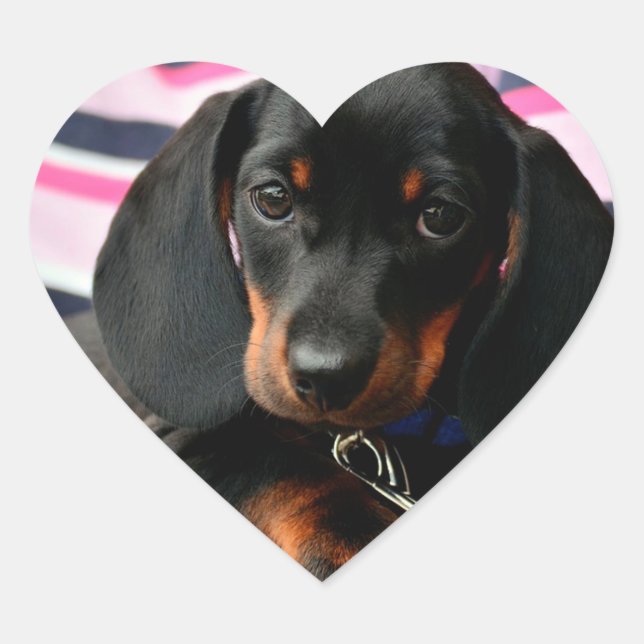 Niedlicher Sticker für Welpen (Vorderseite)