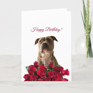 Niedlicher Stier Hund Rose Happy Birthday Card Karte