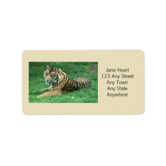 Niedlicher Sumatran Tiger in Grassohle Adressaufkleber