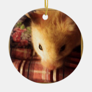 Niedlicher syrischer Hamster Keramikornament