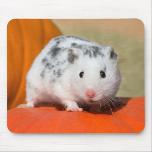 Niedlicher syrischer Hamster Weiße Gepunktete Zwe Mousepad